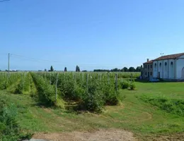 Aste giudiziarie immobiliari online - 6.0