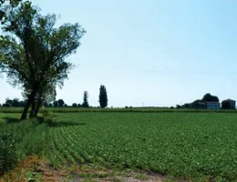Aste giudiziarie immobiliari online - 11.0