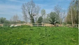 Aste giudiziarie immobiliari online - 2.0