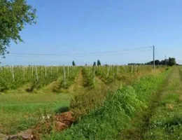 Aste giudiziarie immobiliari online - 12.0