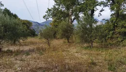 Aste giudiziarie immobiliari online - 2.0