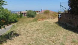 Aste giudiziarie immobiliari online - 4.0