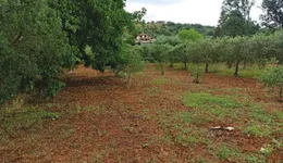 Aste giudiziarie immobiliari online - 9.0