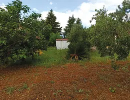 Aste giudiziarie immobiliari online - 9.0