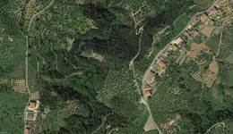 Aste giudiziarie immobiliari online - 8.0