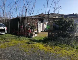Aste giudiziarie immobiliari online - 7.0