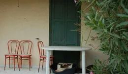 Aste giudiziarie immobiliari online - 11.0