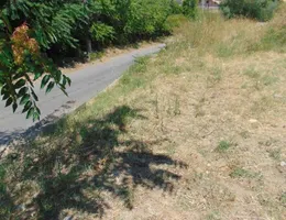 Aste giudiziarie immobiliari online - 12.0