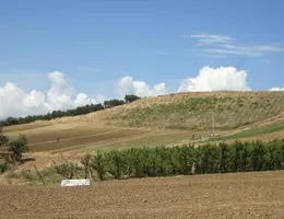 Aste giudiziarie immobiliari online - 5.0