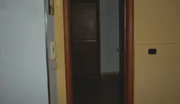 Aste giudiziarie immobiliari online - 12.0