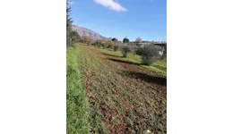 Aste giudiziarie immobiliari online - 9.0