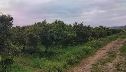 Aste giudiziarie immobiliari online - 10.0