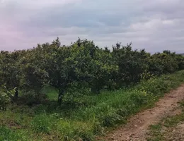 Aste giudiziarie immobiliari online - 2.0