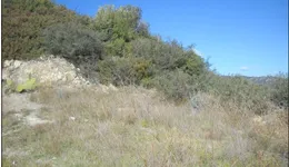 Aste giudiziarie immobiliari online - 4.0