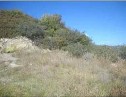 Aste giudiziarie immobiliari online - 4.0