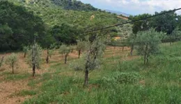 Aste giudiziarie immobiliari online - 12.0