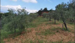 Aste giudiziarie immobiliari online - 6.0