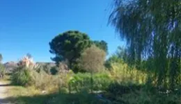 Aste giudiziarie immobiliari online - 10.0