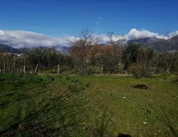 Aste giudiziarie immobiliari online - 4.0