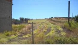 Aste giudiziarie immobiliari online - 11.0