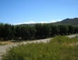 Aste giudiziarie immobiliari online - 6.0