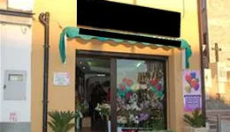 Aste giudiziarie immobiliari online - 3.0