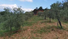 Aste giudiziarie immobiliari online - 8.0