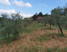 Aste giudiziarie immobiliari online - 8.0