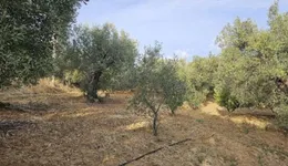 Aste giudiziarie immobiliari online - 2.0