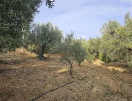Aste giudiziarie immobiliari online - 8.0