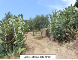 Aste giudiziarie immobiliari online - 5.0