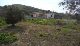 Aste giudiziarie immobiliari online - 11.0