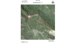 Aste giudiziarie immobiliari online - 4.0