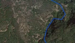 Aste giudiziarie immobiliari online - 12.0