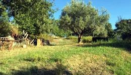 Aste giudiziarie immobiliari online - 5.0