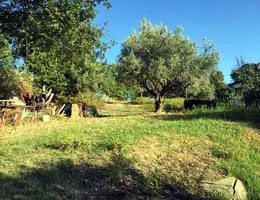 Aste giudiziarie immobiliari online - 8.0