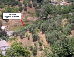 Aste giudiziarie immobiliari online - 1.0