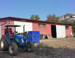 Aste giudiziarie immobiliari online - 11.0