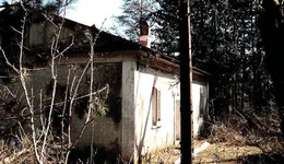 Aste giudiziarie immobiliari online - 11.0