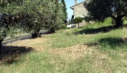 Aste giudiziarie immobiliari online - 3.0