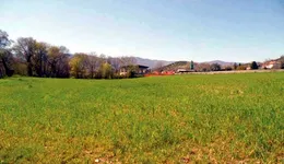 Aste giudiziarie immobiliari online - 7.0
