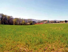 Aste giudiziarie immobiliari online - 6.0