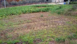 Aste giudiziarie immobiliari online - 2.0