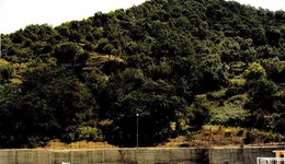 Aste giudiziarie immobiliari online - 5.0