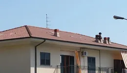 Aste giudiziarie immobiliari online - 9.0