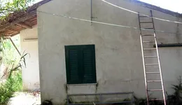 Aste giudiziarie immobiliari online - 11.0