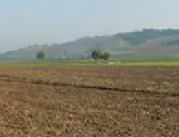 Aste giudiziarie immobiliari online - 10.0