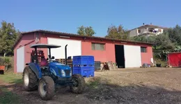 Aste giudiziarie immobiliari online - 11.0