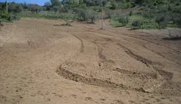 Aste giudiziarie immobiliari online - 10.0