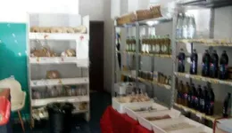 Aste giudiziarie immobiliari online - 11.0